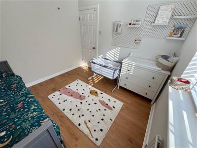 Picture 20